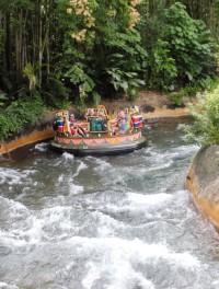 Highlights of the Rides at Disney World's Animal Kingdom | Kids Out and